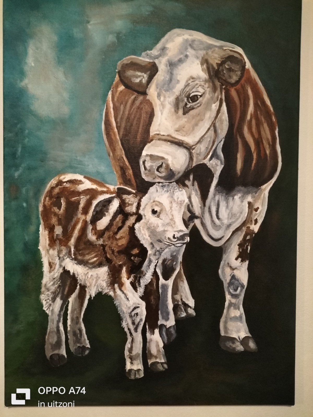 Acrylverf schilderij van koe met kalf, 70x50 cm, 2016, Ophalen of Verzenden