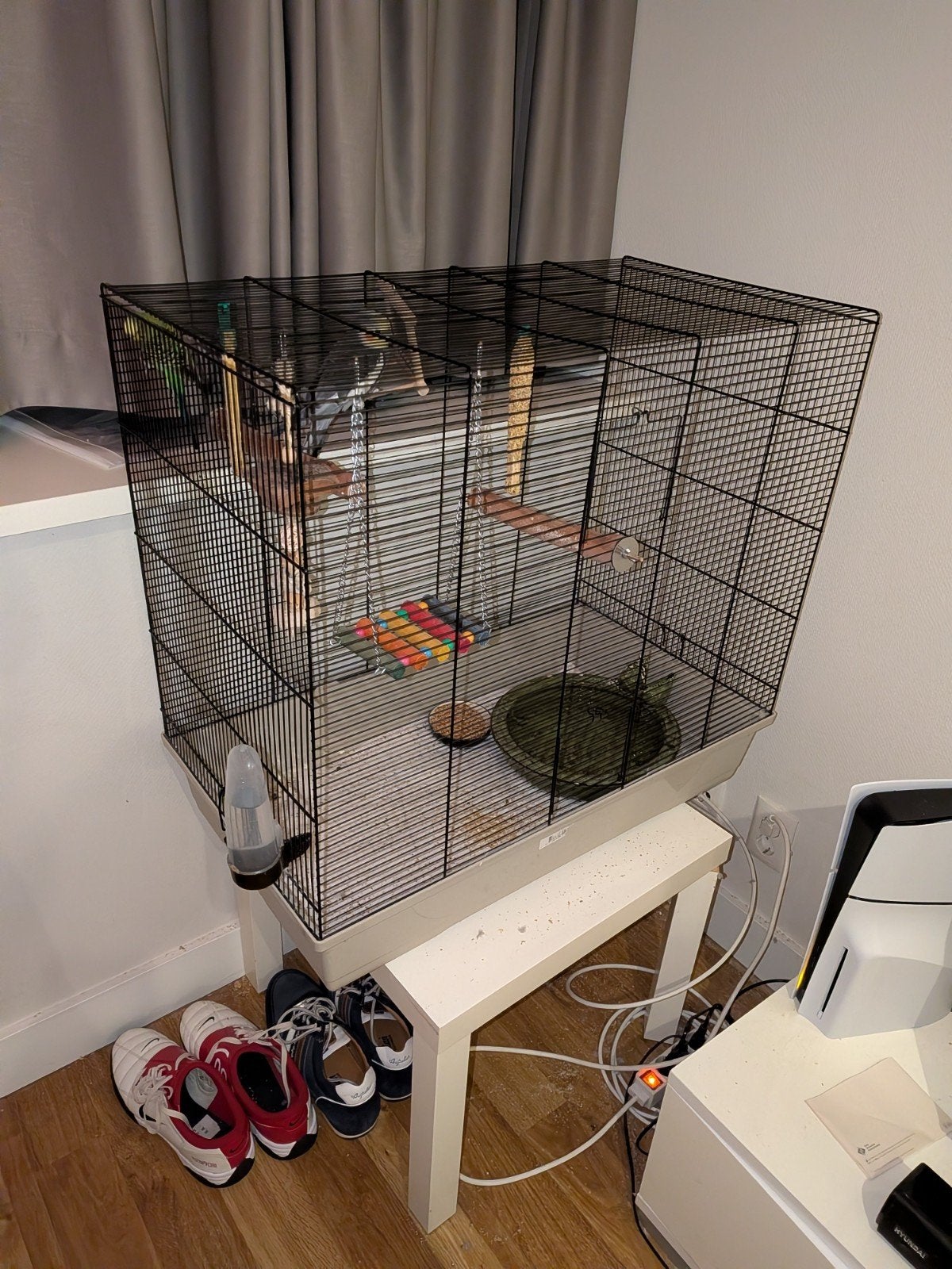 1 Grasparkiet, 1 Valkparkiet en Vogelkooi met toebehoren, Dieren en Toebehoren, Ophalen, Gebruikt, Metaal, Vogelkooi