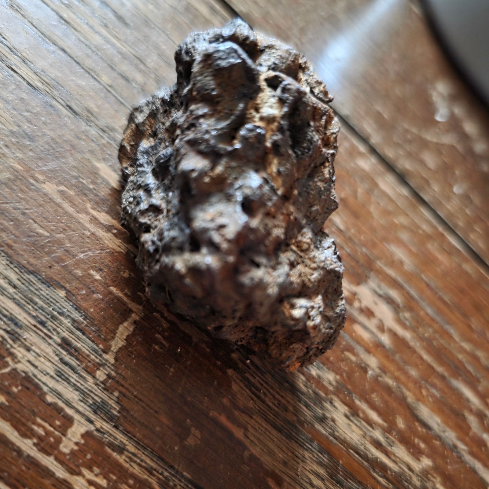 Pallasiet ongeclassificeerde NWA meteoriet, Verzamelen, Mineralen en Fossielen, Ophalen of Verzenden