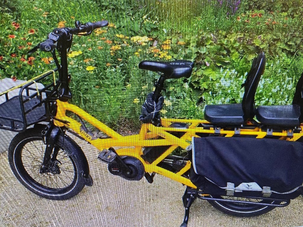 GSD Tern S 00 electrische fiets, Verzenden, Gebruikt, 1 kind, Elektrisch