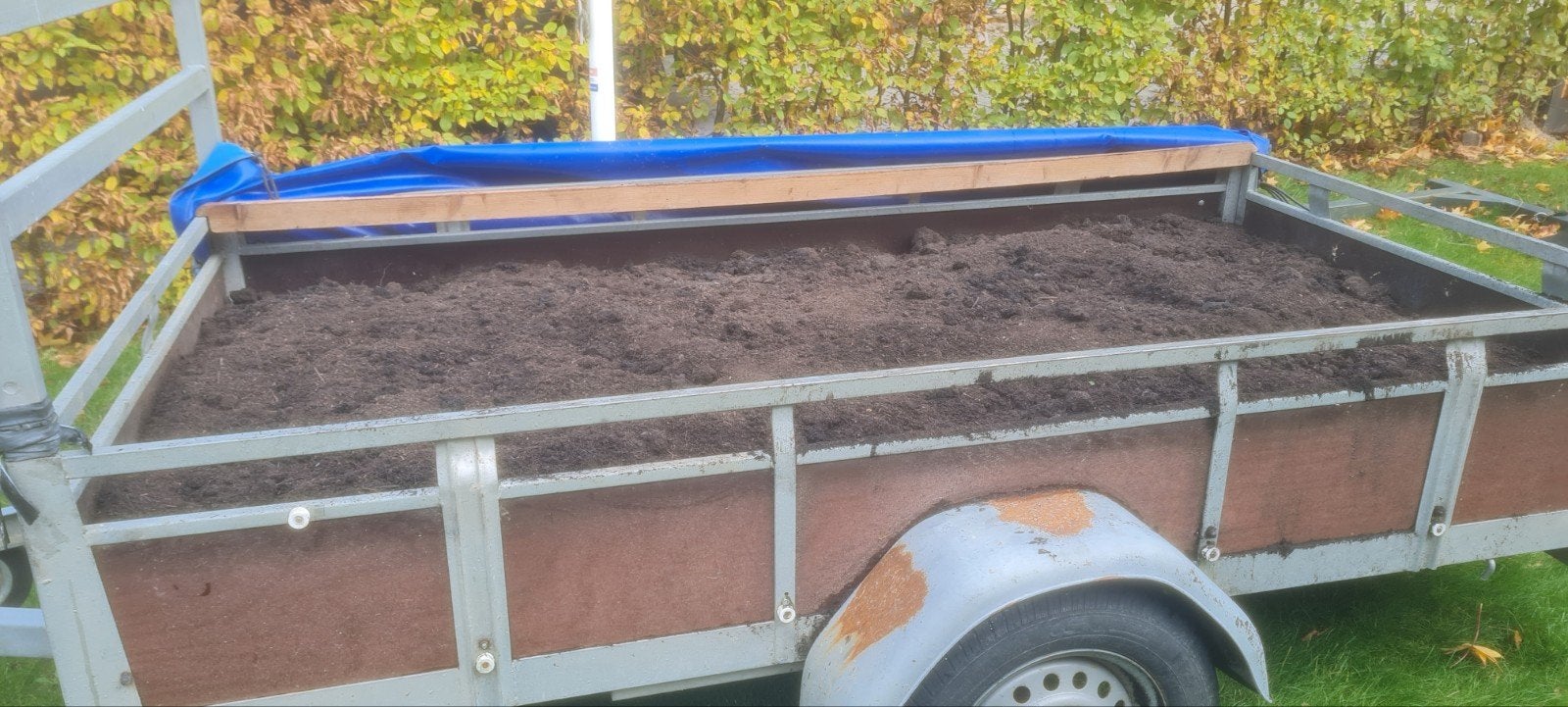 Compost ca 1m3 - 12 kruiwagens aan huis, Ophalen of Verzenden, Compost