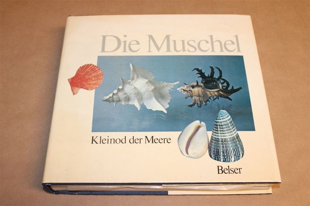 Die Muschel — Zeeschelpen Fotoboek, Dik Boek, Boeken, Ophalen of Verzenden, Gelezen, Natuur algemeen