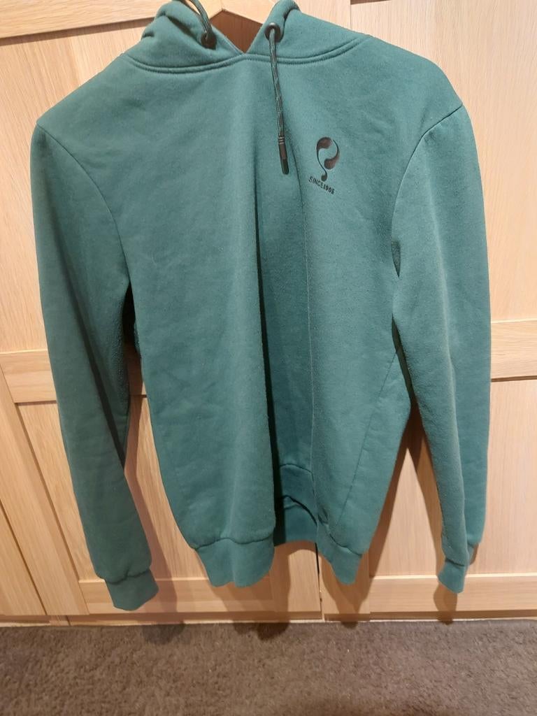 Verschillende kleding, Kleding | Dames, Truien en Vesten, Overige kleuren, Ophalen of Verzenden, Onbekend, Maat 36 (S)
