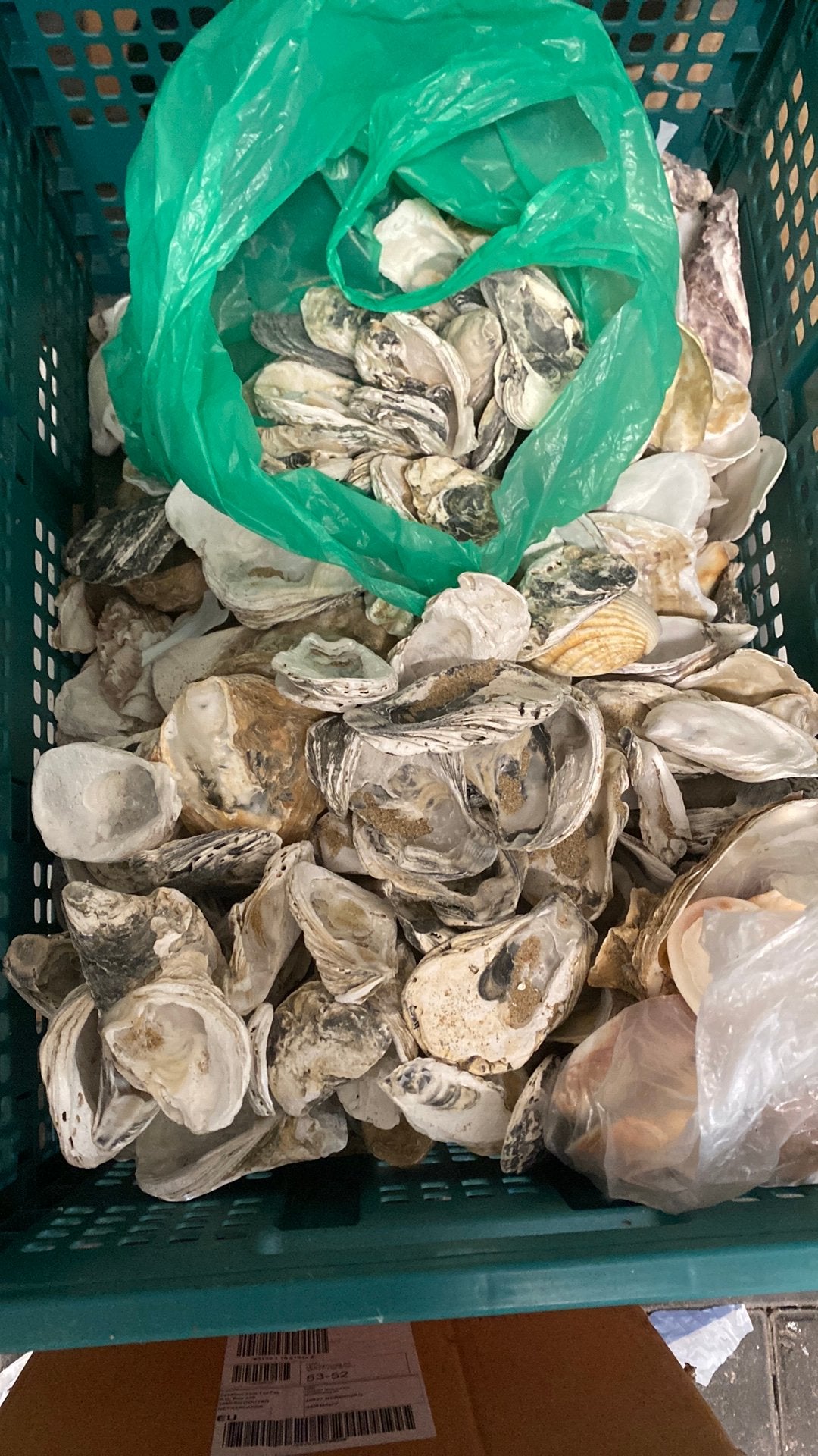 Twee dozen vol mooie stenen en schelpen, Ophalen, Zo goed als nieuw, Schelpendecoratie, Natuurlijk materiaal