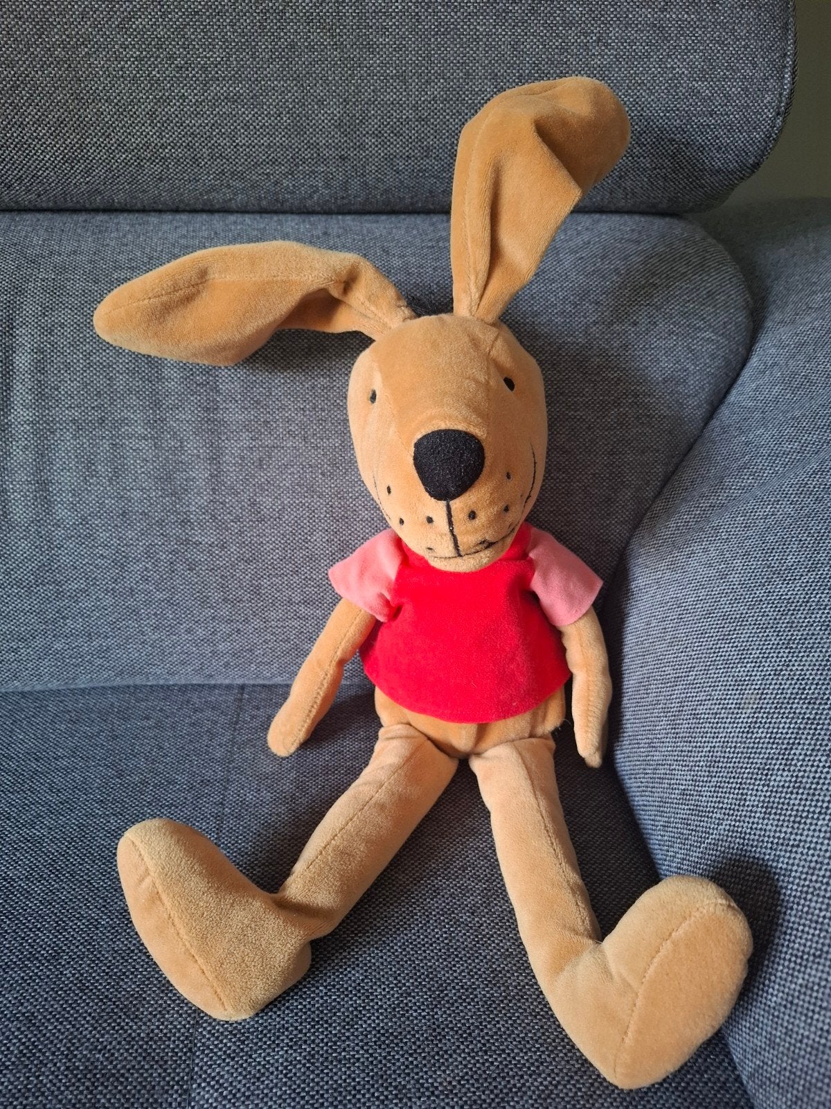 Max Velthuijs Haas van Kikker Knuffel 40 cm, Overige merken, Overige karakters, Konijn, Ophalen of Verzenden