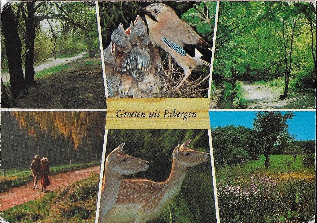 Gelopen ansichtkaart groeten uit Eibergen ( 963 ), Ophalen of Verzenden, 1980 tot heden, Ongelopen