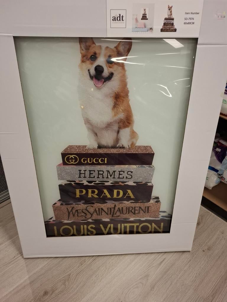 Nieuw Glasschilderij Corgi op Designer Boeken 60x80cm, Ophalen, Nieuw, 75 cm of meer, Nvt