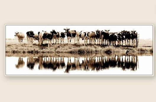Groot kunstwerk vtwonen wisseldoek Cows in a row, Ophalen of Verzenden