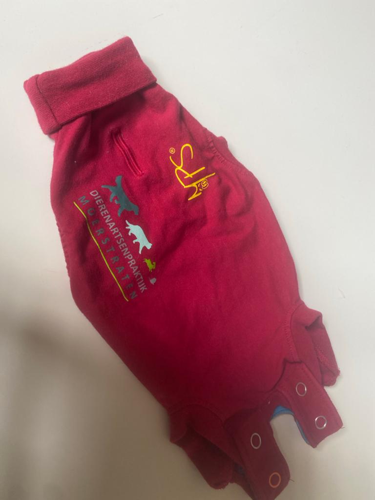 Romper kitten, medical pet shirt, Ophalen of Verzenden