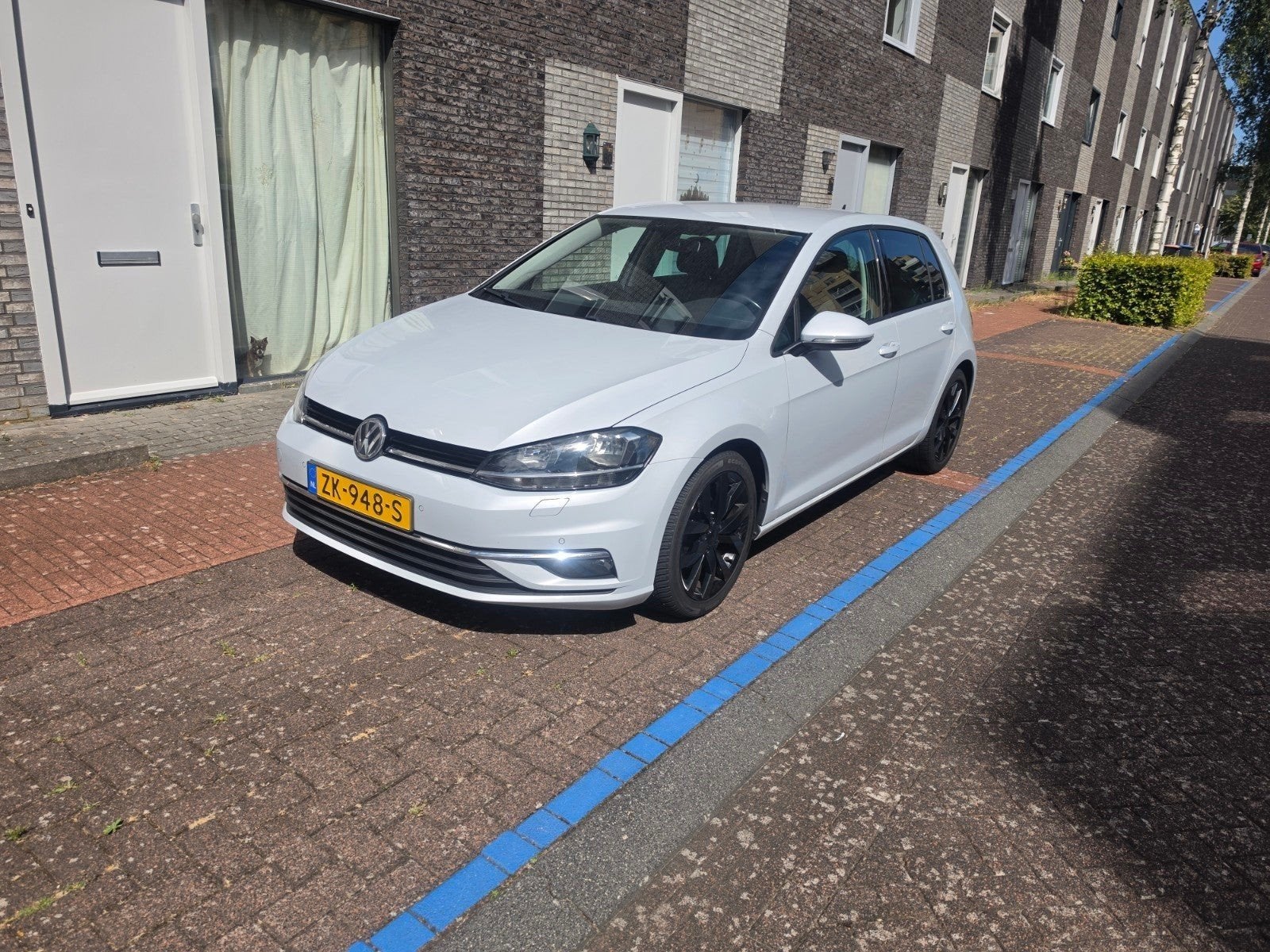 Volkswagen Golf 1.0 TSI 115pk 7-DSG 2019 Wit, Auto's, 15 km/l, 1165 kg, Alcantara, Wit