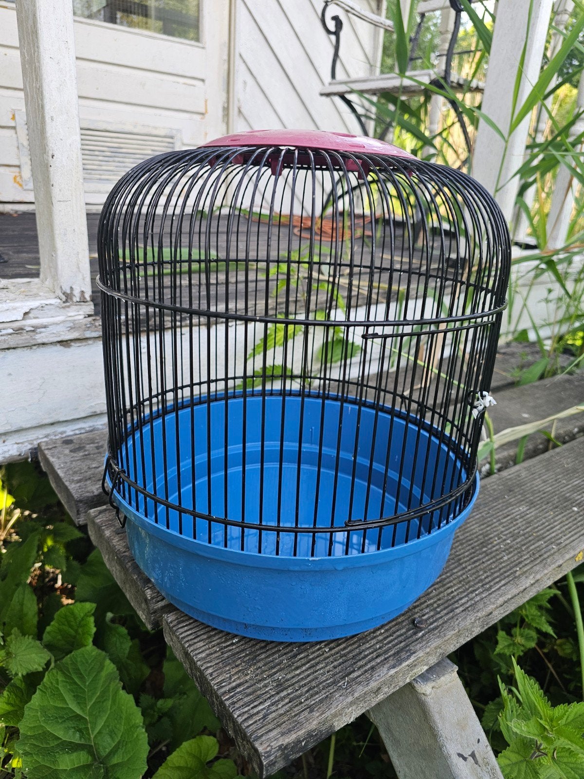 Vogelkooi rond parkiet vogels, Ophalen, Gebruikt, Metaal, Vogelkooi