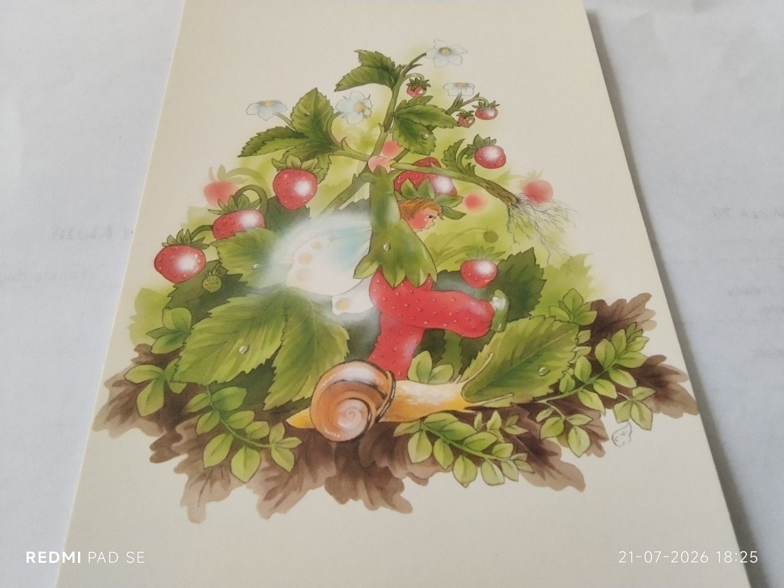 Aardbeien met Elfje en Slak - Design Christl Vogl, Ophalen of Verzenden, 1980 tot heden, Ongelopen, Natuur