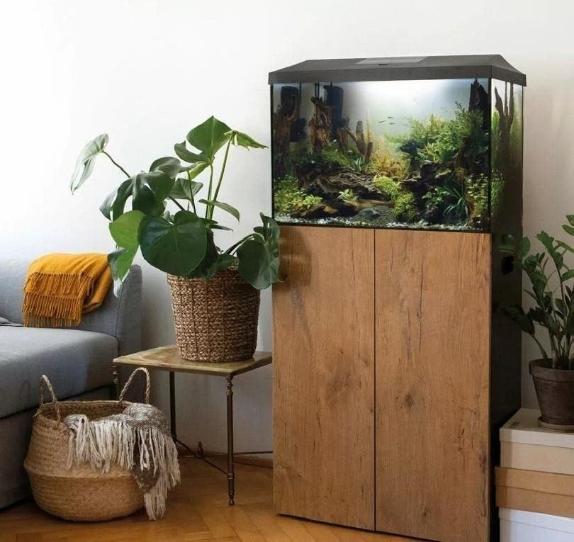 grote keus aquaria, ze staan in de winkel op voorraad, Dieren en Toebehoren, Vissen | Aquaria en Toebehoren, Ophalen of Verzenden