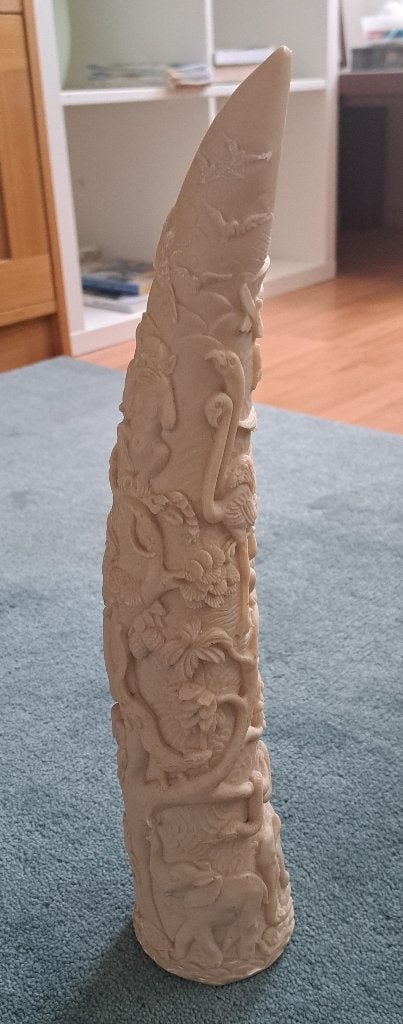 Slagtand  40cm lang, Ophalen of Verzenden, Zo goed als nieuw, Dier