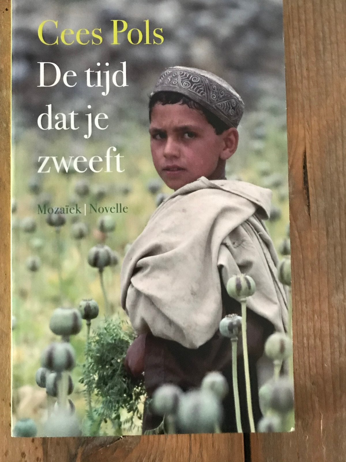 De tijd dat je zweeft van Cees Pols, Ophalen of Verzenden, Zo goed als nieuw