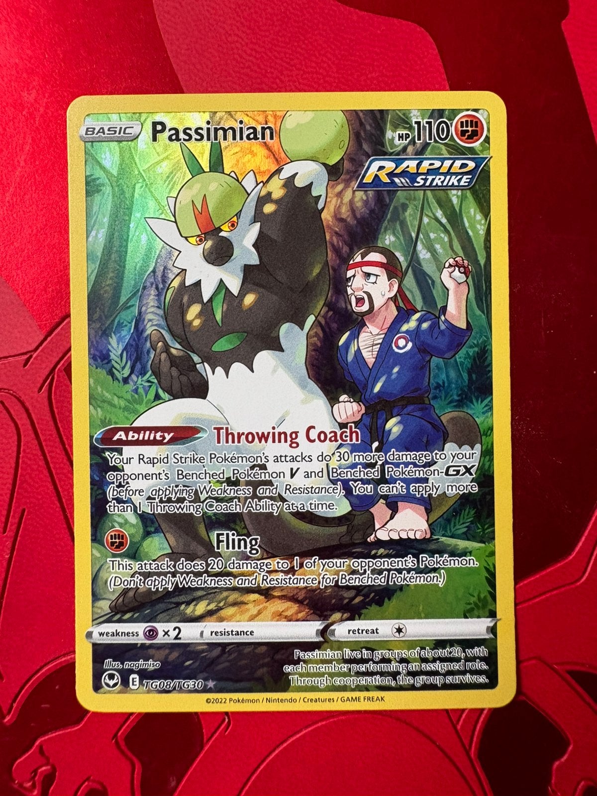 Passimian - TG08/TG30, Hobby en Vrije tijd, Ophalen of Verzenden, Zo goed als nieuw