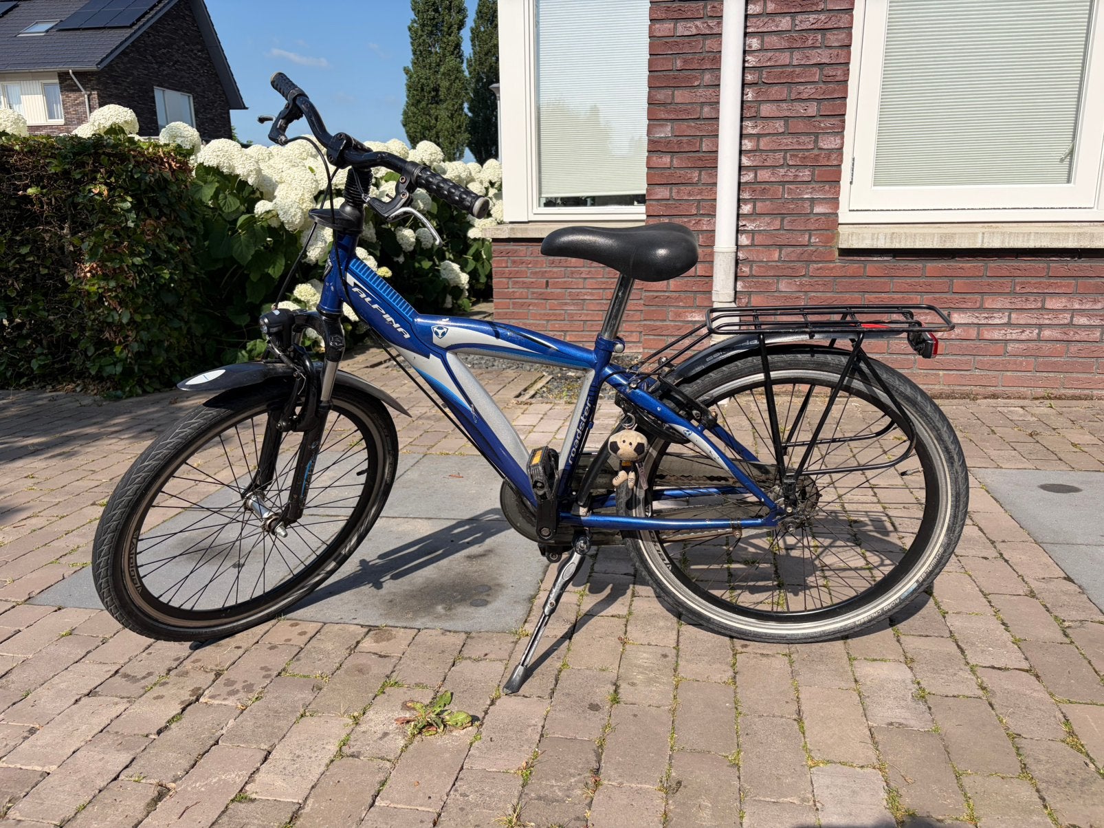 Alpina roadster 24 inch jongensfiets, Ophalen, Terugtraprem, Handrem, Gebruikt