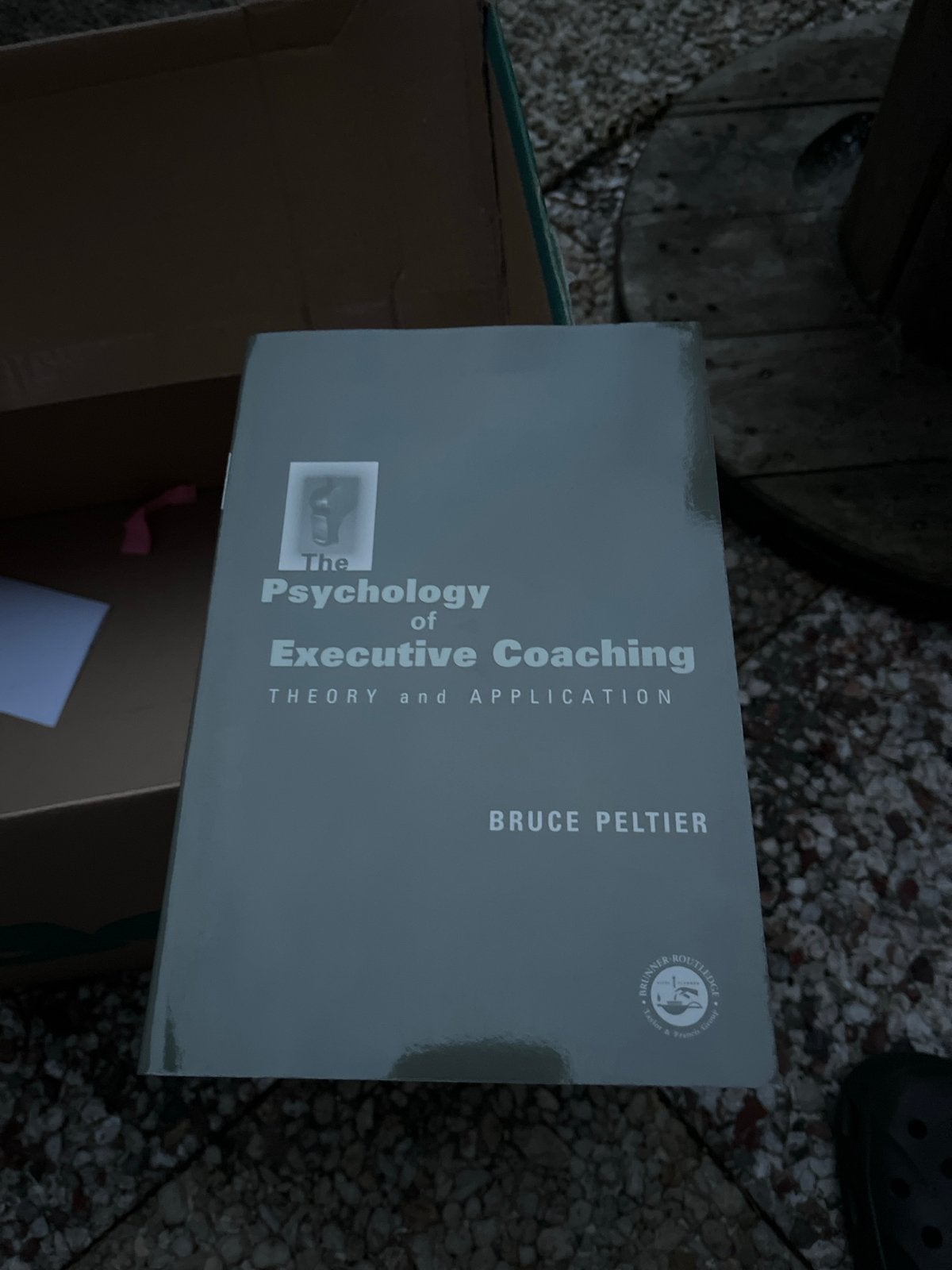 The Psychology of Executive Coaching - Bruce Peltier, Boeken, Ophalen of Verzenden, Zo goed als nieuw