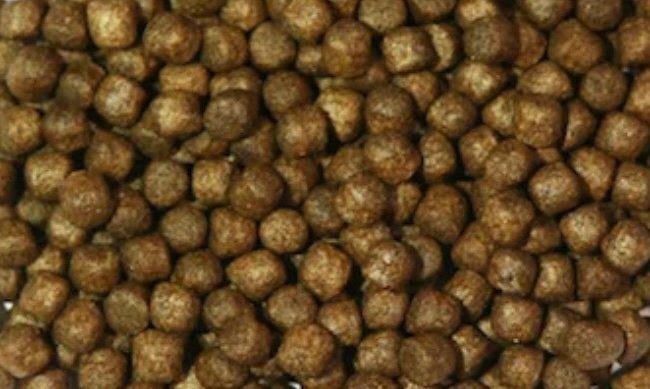 Tosai Grower Pro 3mm, Karper of Koi