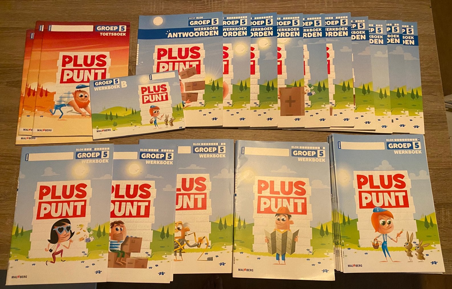 Pluspunt groep 5 (werkboeken, toetsboeken en antwoorden), Ophalen of Verzenden, Nieuw, Overige niveaus, Nederlands