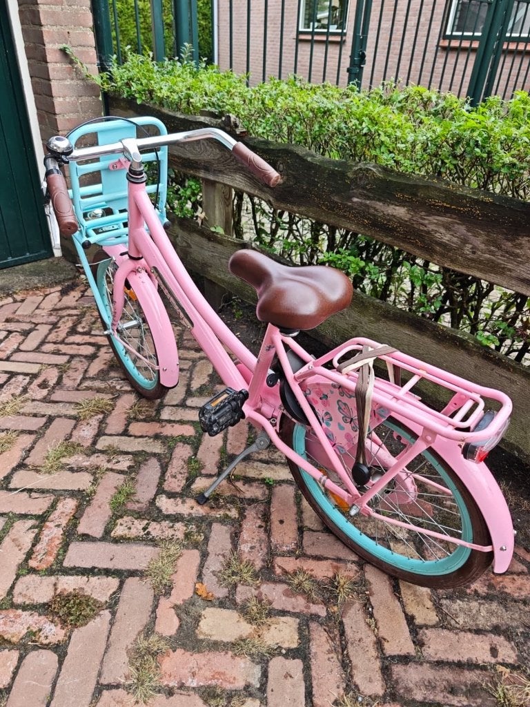 Popal Daily Dutch meisjesfiets 20 inch roze/turquoise + mand, Fietsen en Brommers, Ophalen, Terugtraprem, Gebruikt, Handrem