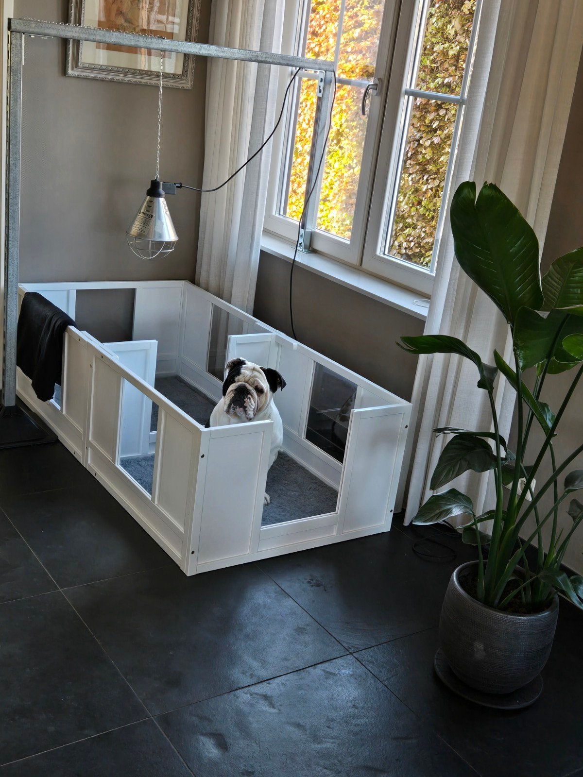 Mooie werpkist kraamhok hond, Ophalen of Verzenden, Zo goed als nieuw, 110 cm of meer, Minder dan 65 cm