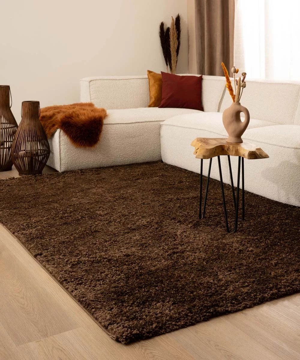 Hoogpolig vloerkleed 200x300cm Shaggy Trend effen bruin, Ophalen, Nieuw, Bruin, Tapijt