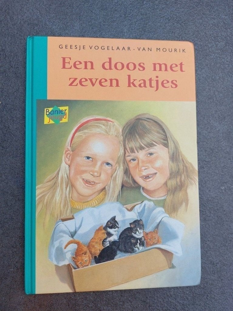 Geesje vogelaar-van mourik - een doos met zeven katjes, Boeken, Ophalen of Verzenden, Zo goed als nieuw, Geesje Vogelaar-van Mourik