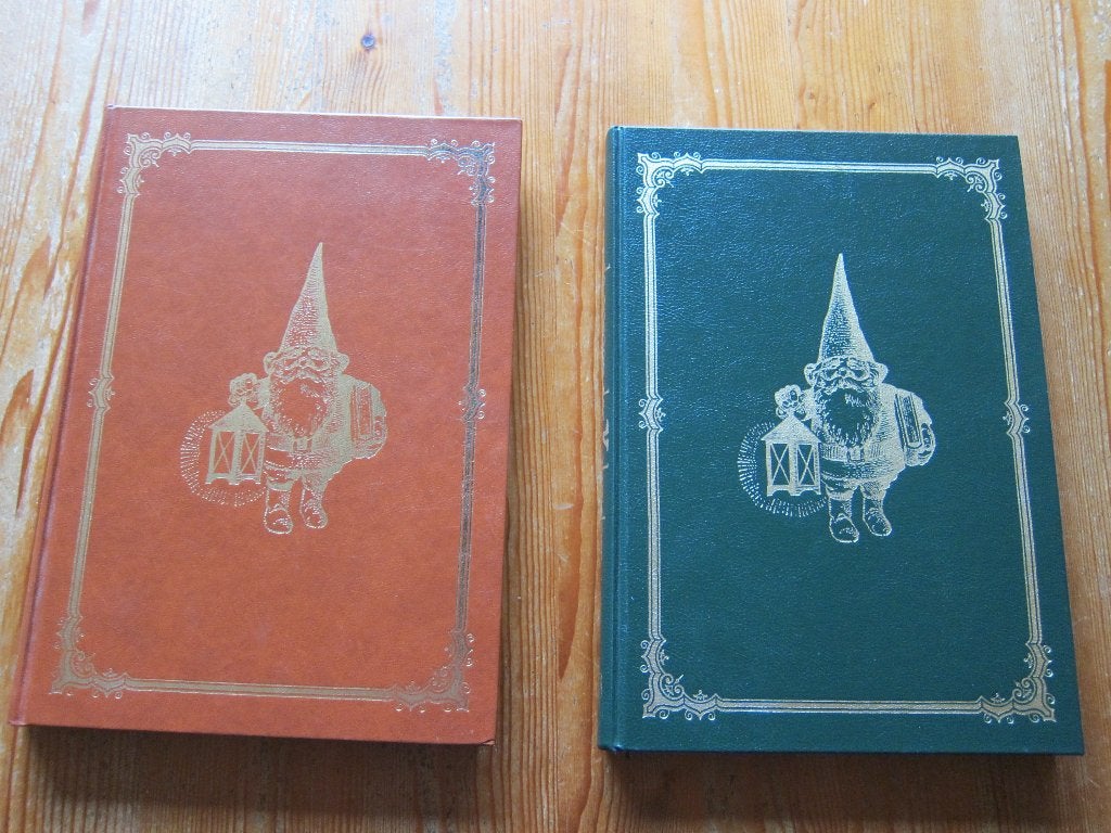 2 boeken david de kabouter,rien portvliet, Boeken, Ophalen of Verzenden, Zo goed als nieuw