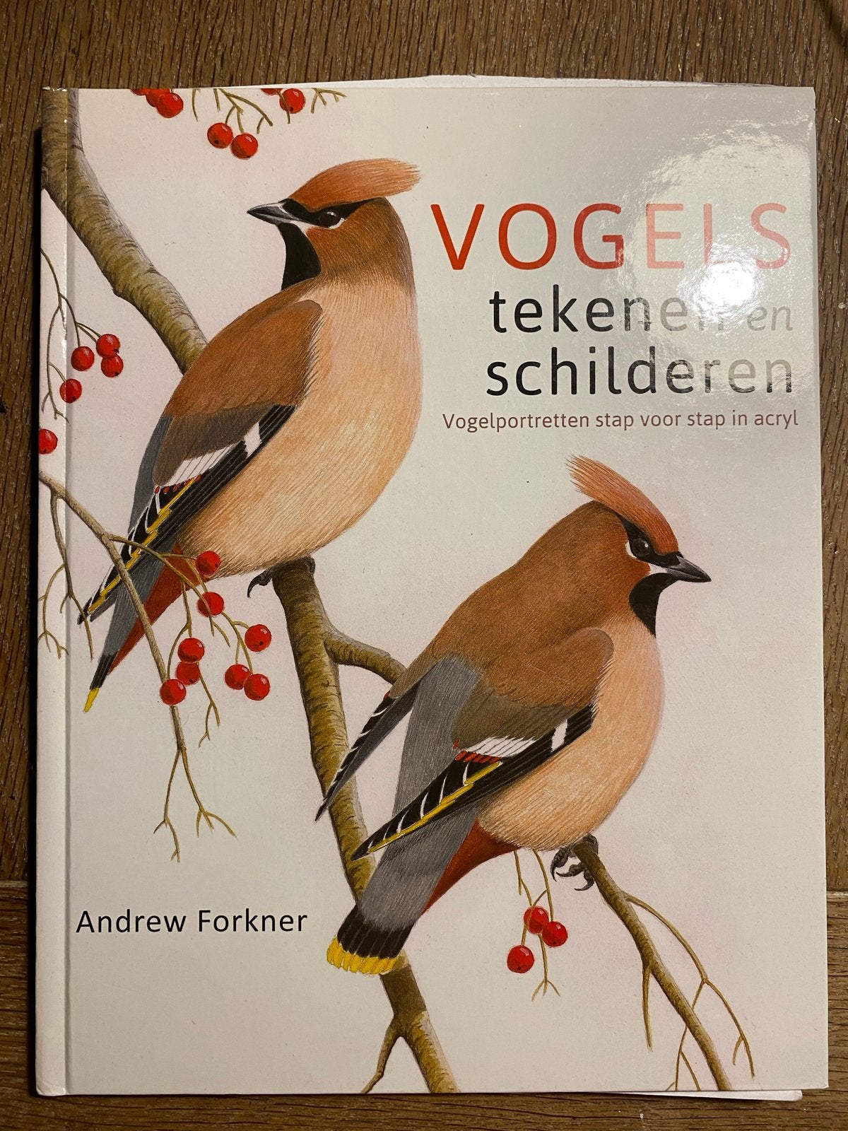 Vogels tekenen en schilderen - Andrew Forkner, Ophalen of Verzenden, Nieuw, Overige onderwerpen