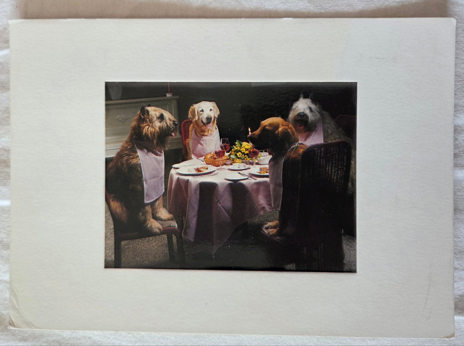 Honden aan de Eettafel, Verzamelen, Verzenden, 1980 tot heden, Gelopen, Hond of Kat