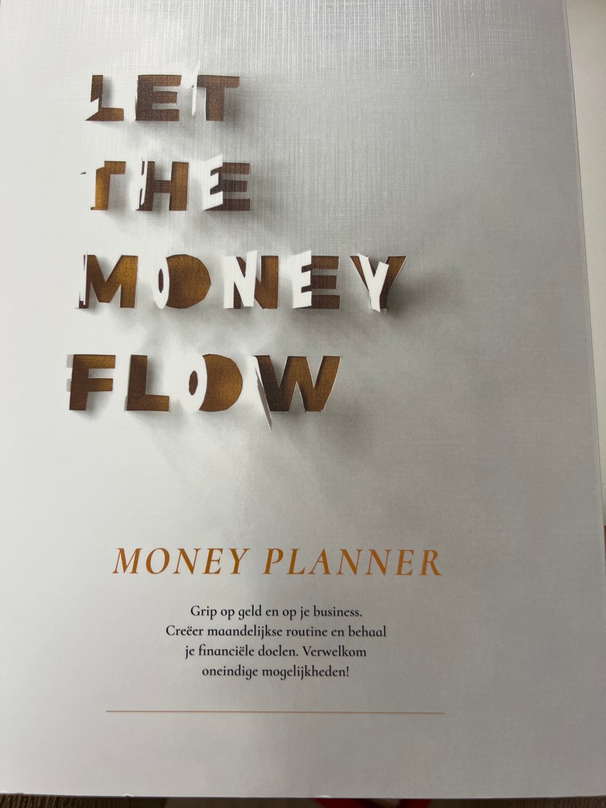 Let the Money Flow - Money Planner, Ophalen of Verzenden, Zo goed als nieuw, Geld en Beleggen