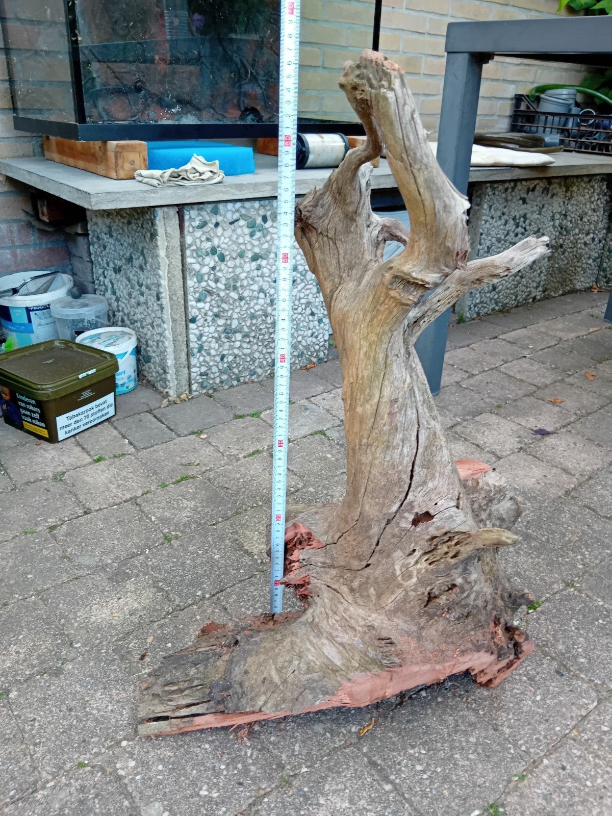 Zwaar aquarium  stronk Alleen ophalen, Ophalen, Plant(en), Steen of Hout