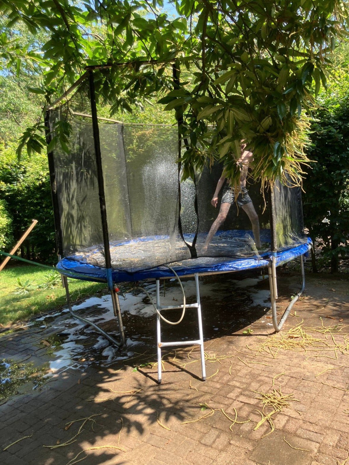 Trampoline 2,40 goede staat, net + trapje, incl. toebehoren, Ophalen, Gebruikt