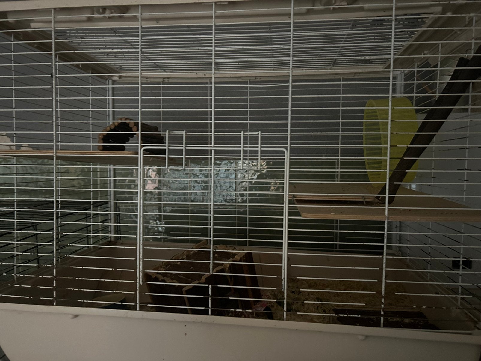Knaagdieren kooi, Ophalen, Gebruikt