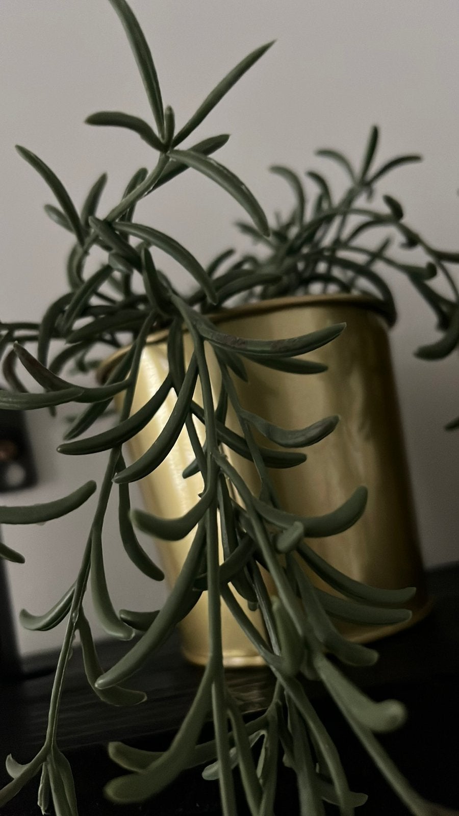 Twee potjes met plantjes, Ophalen of Verzenden
