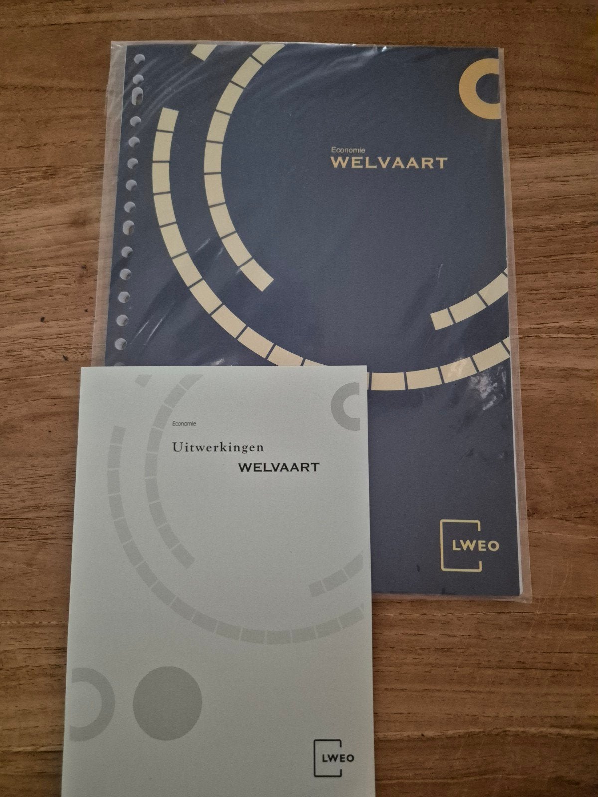 Economie Welvaart + Uitwerkingen LWOO - Nieuw, Onbekend, Nieuw, Ophalen of Verzenden, Gamma