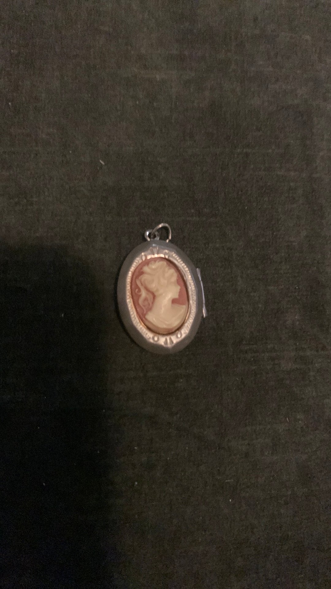 Camee, Sieraden, Tassen en Uiterlijk, Ophalen of Verzenden, Overige materialen, Hanger