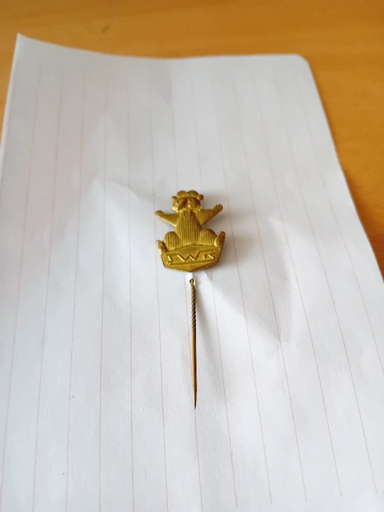 Pin - JWIS, Ophalen of Verzenden, Zo goed als nieuw, Merk, Speldje of Pin