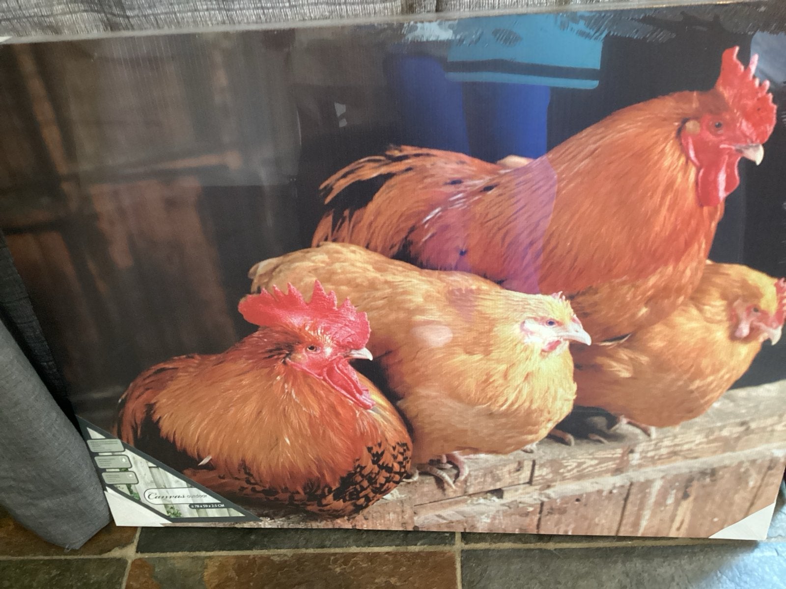 Nieuw Kippenposter - Prachtige decoratie voor elke ruimte, Huis en Inrichting, Woonaccessoires | Schilderijen, Tekeningen en Foto's