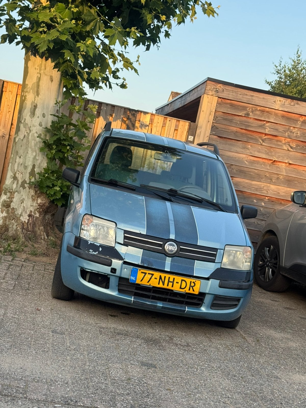 Fiat Panda 1.2 2003 Blauw, Ophalen, Fiat