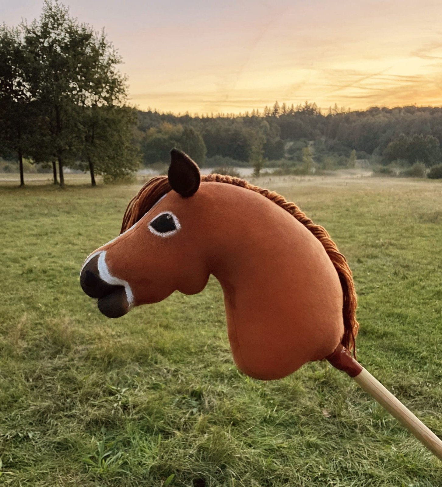 Prachtige hobbyhorse, Ophalen of Verzenden, Zo goed als nieuw