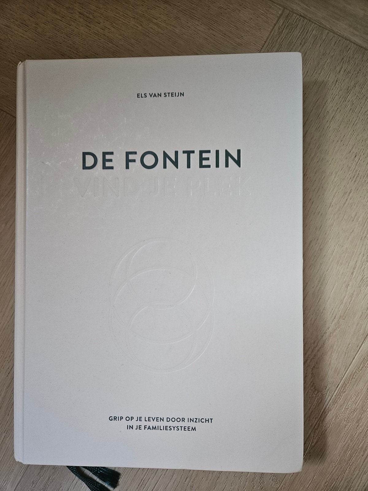 De Fontein, Achtergrond en Informatie, Ophalen of Verzenden, Zo goed als nieuw, Els van Steijn