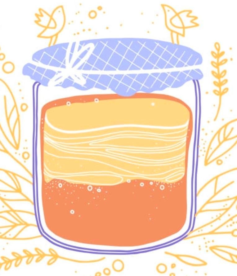 Scoby cultuur, Diversen, Levensmiddelen, Ophalen