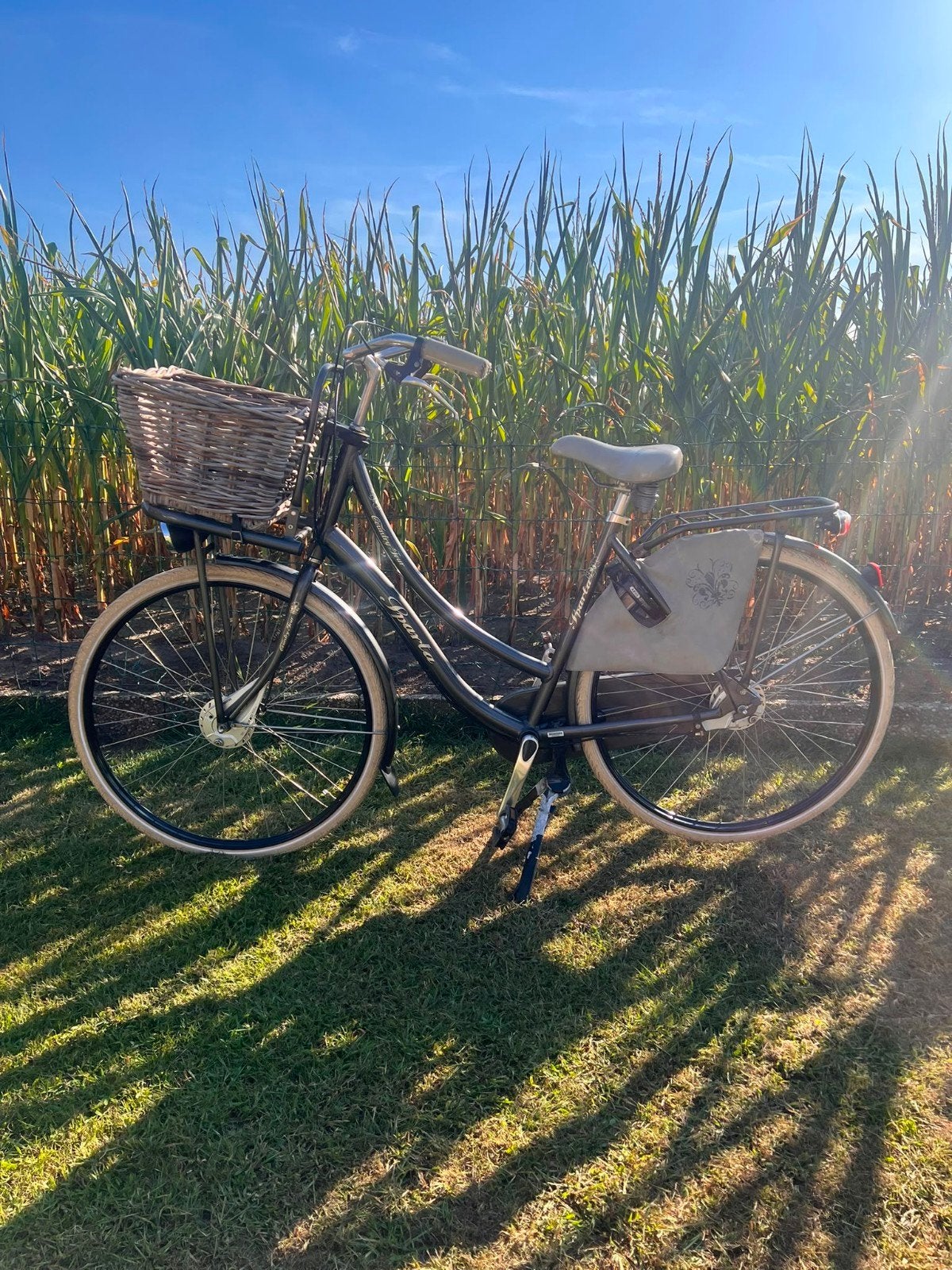 Sparta Country Tour - Nette pick-up fiets met mand, Fietsen en Brommers, Fietsen | Dames | Damesfietsen, Ophalen, Sparta, Versnellingen