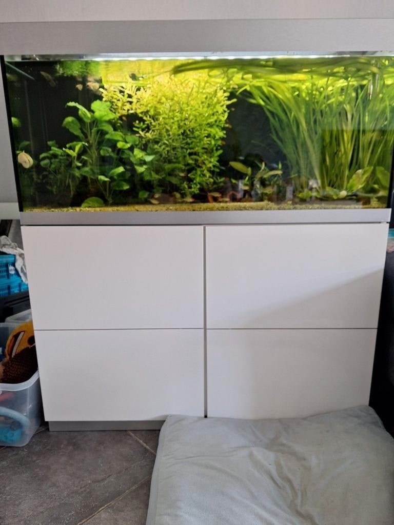 Oase Highline 300, Dieren en Toebehoren, Ophalen, Zo goed als nieuw, Gevuld zoetwateraquarium