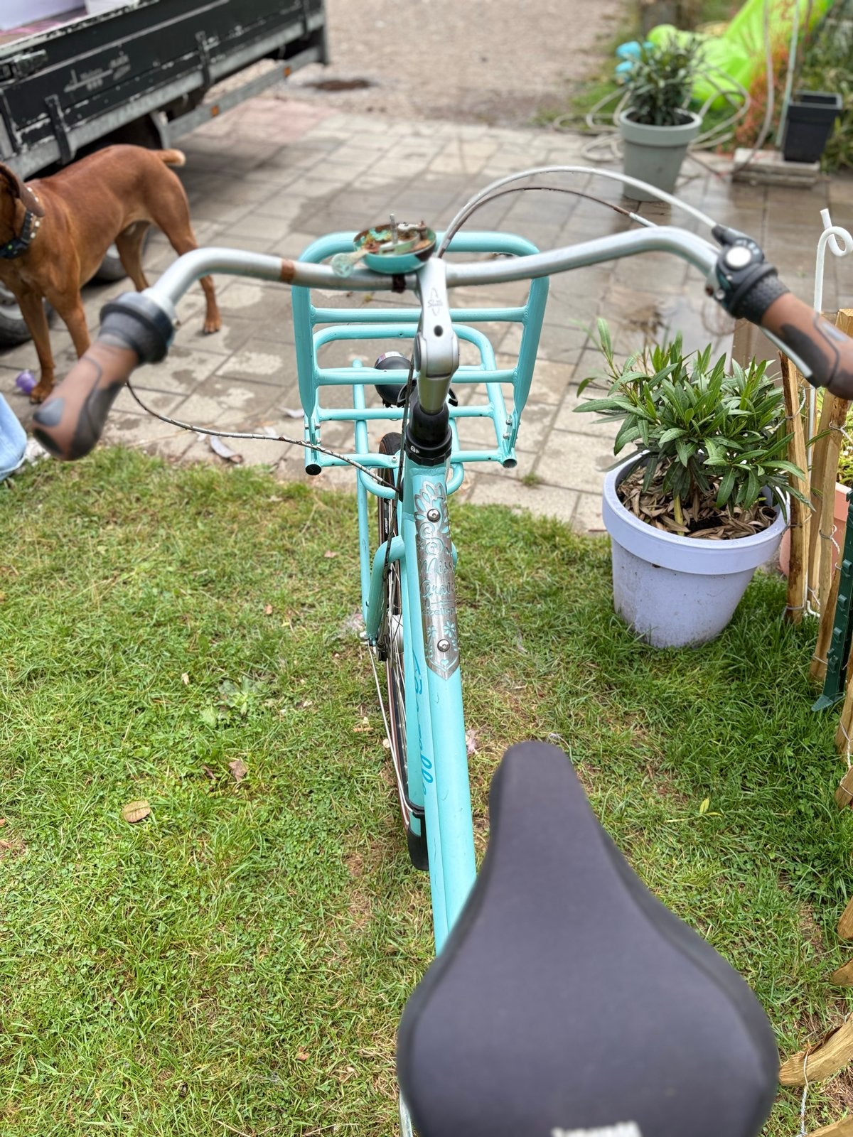Gazelle fiets - Opknapper, Ophalen, Velgrem, Versnellingen, Gazelle
