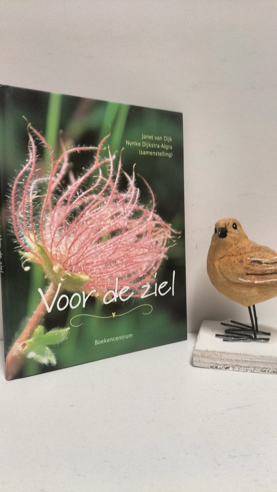 Dijk, Janet van e.a.; Voor de ziel, Ophalen of Verzenden, Zo goed als nieuw, Christendom | Protestants
