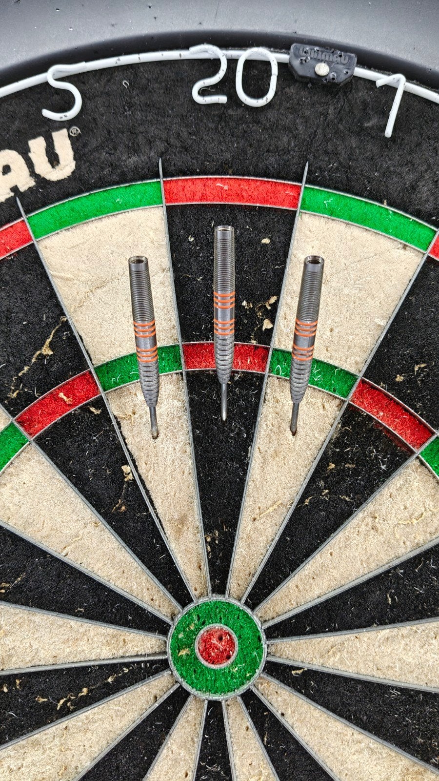 Target Raymond van Barneveld Darts 24g, Ophalen of Verzenden, Zo goed als nieuw, Pijlen