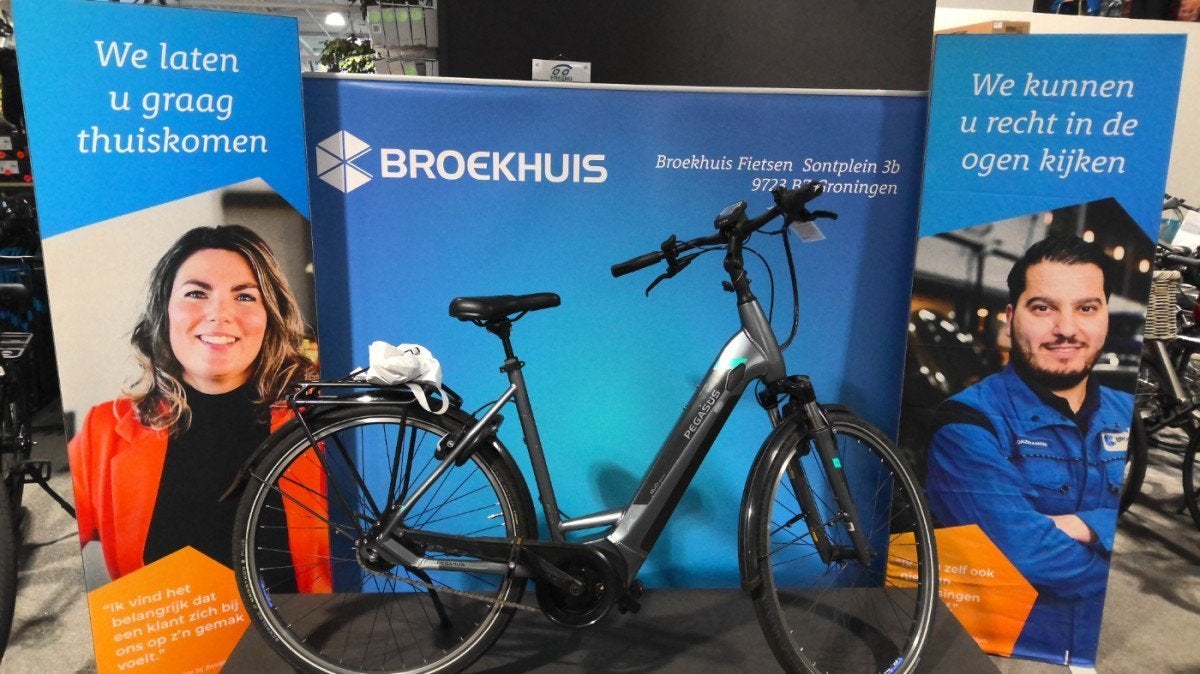 Pegasus Pegasus Premio Evo 5f 400wh Grijs 55 Cm Elektrisch, Gebruikt, -, -, -